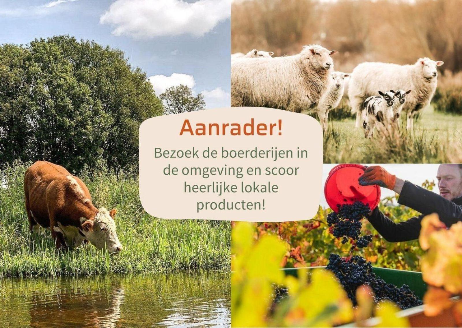 Vakantiepark Hoelte Rijssen Eksteriør bilde